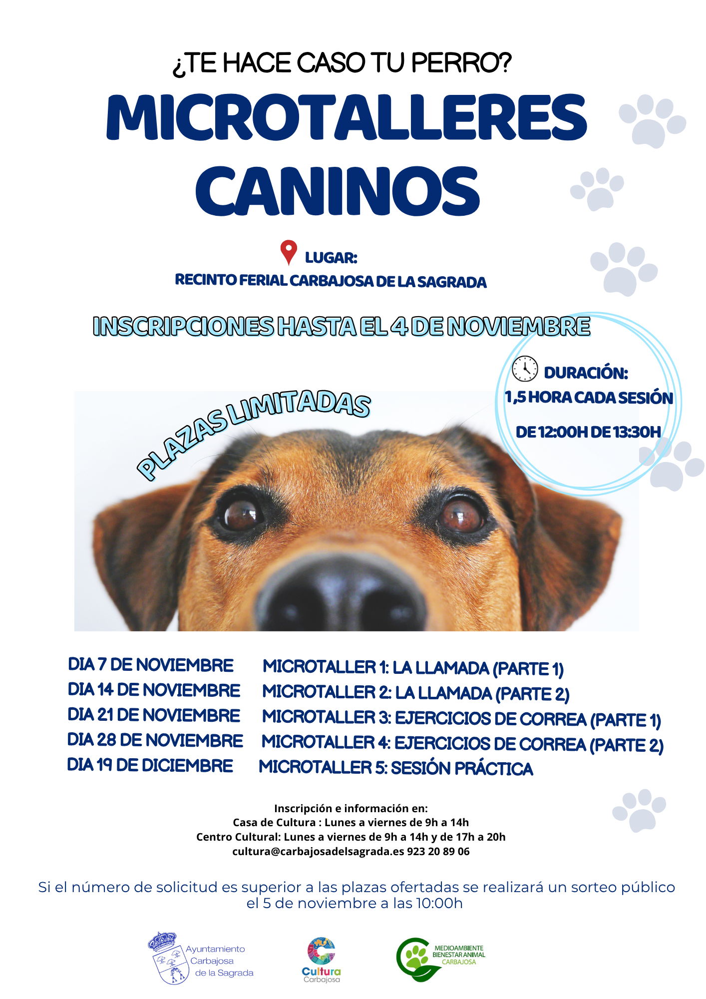 CARTEL MICROTALLERES